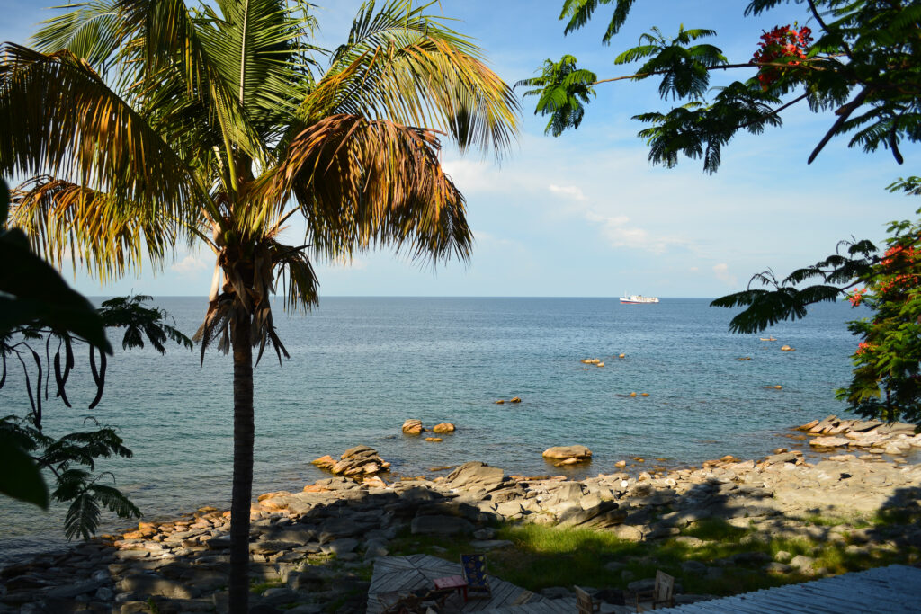 Looking at a lake with a rocky shore and a palm tree