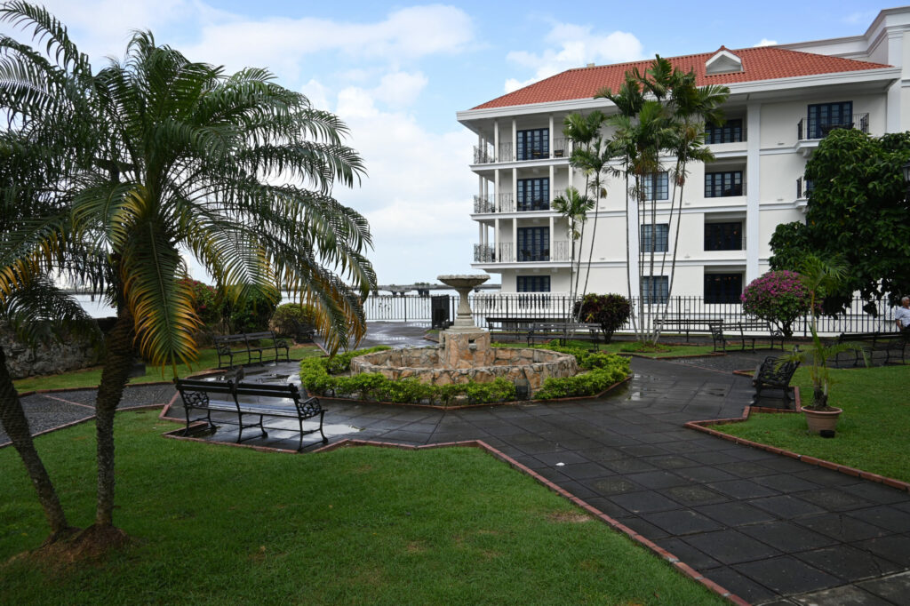 White and well maintained house next to the sea with a palm tree in front