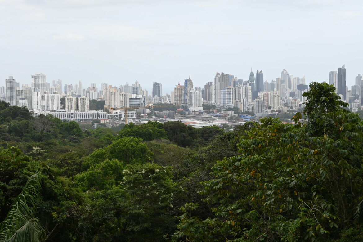 Jungle and behind the city of Panama