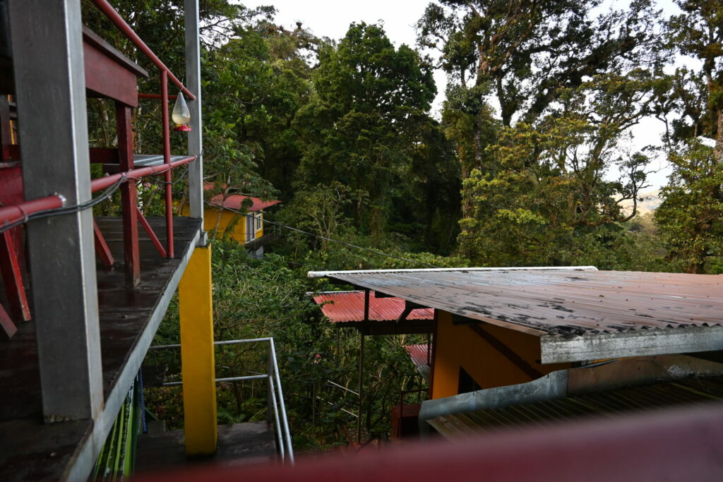 Building in the jungle