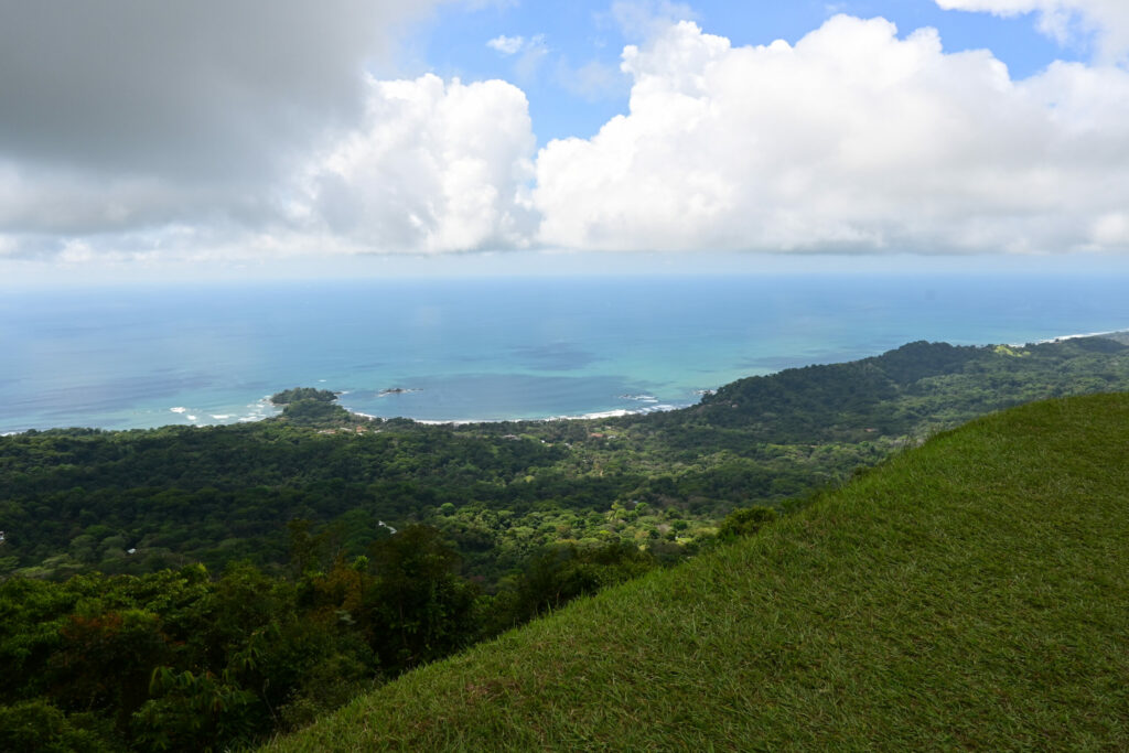 Green grass in the foreground, jungle below and beach/sea with clouds