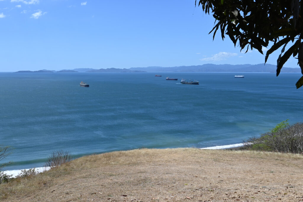 Gras strip in the foreground, sea with ships in the back