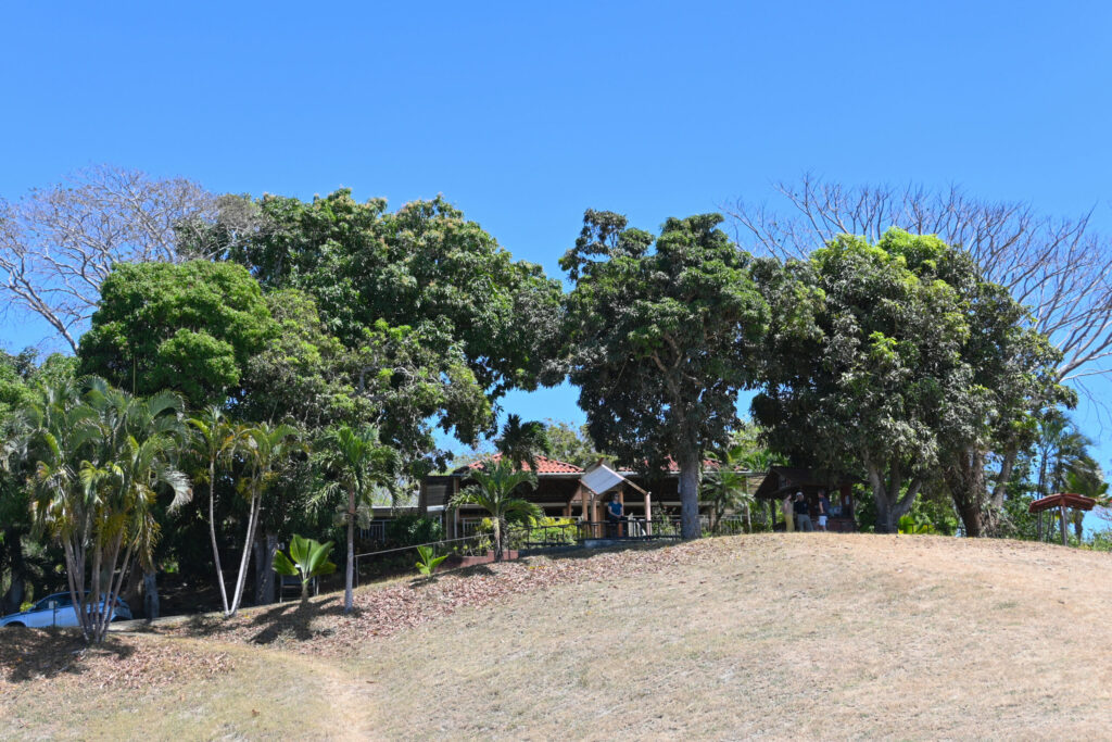 Grass strip with trees and and a building