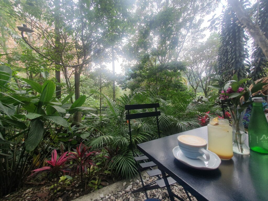 Cofee on a table with lots of plants/trees in the background