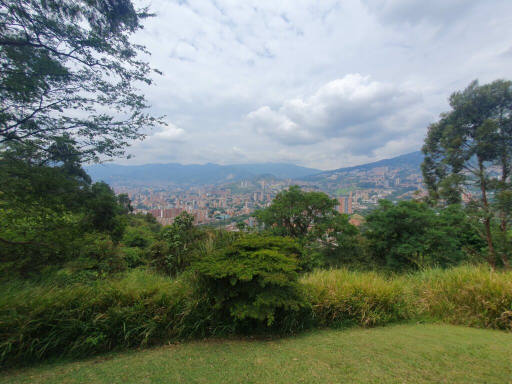 Large city with park in the foreground