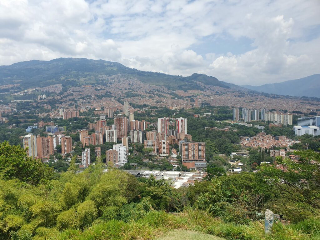 Large city with trees in the foreground