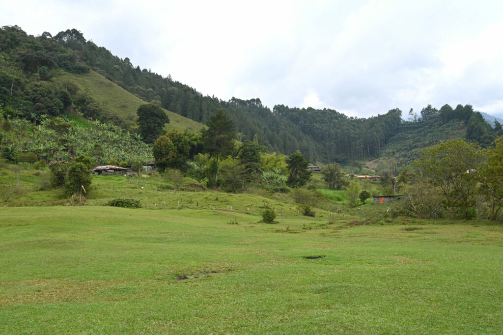 Green field with a ridge in the background