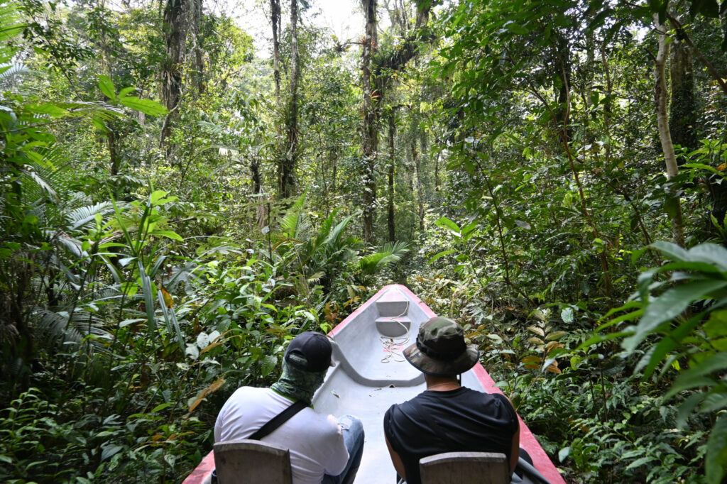 A boat on a small river in the jungle