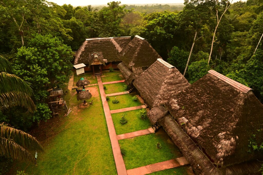 Huts in a Jungle