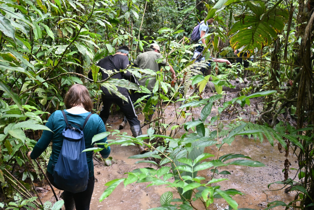 People in mud in the Jungle