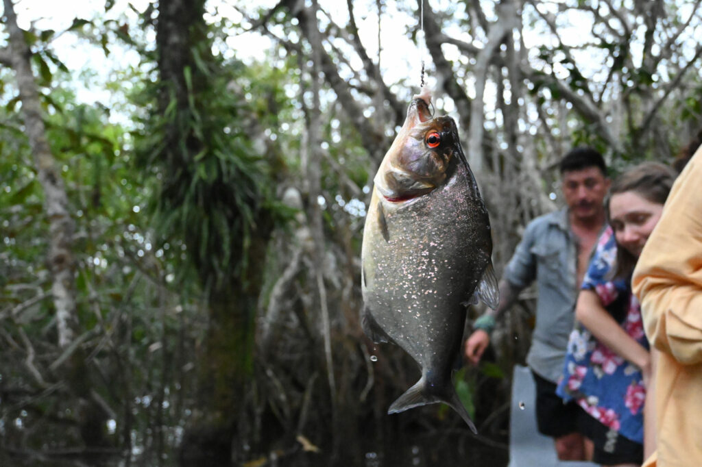 A Piranha on a hook