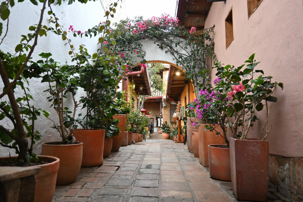 A backyard with flowers