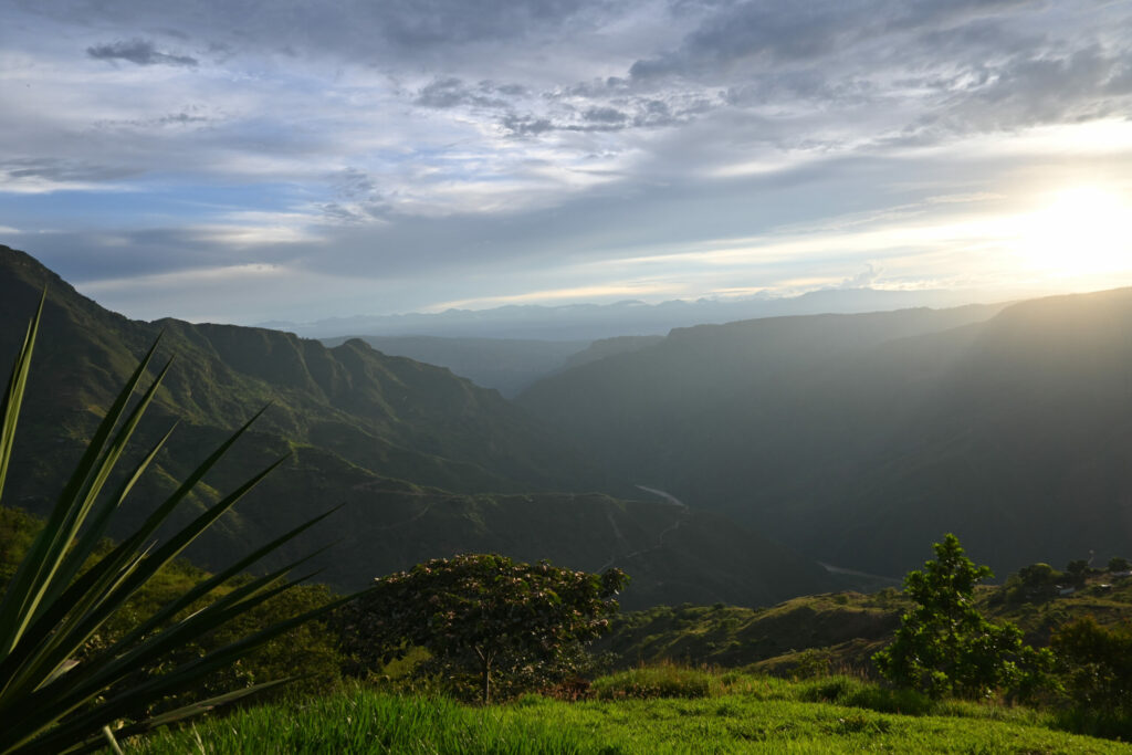 a green landscape with a sun