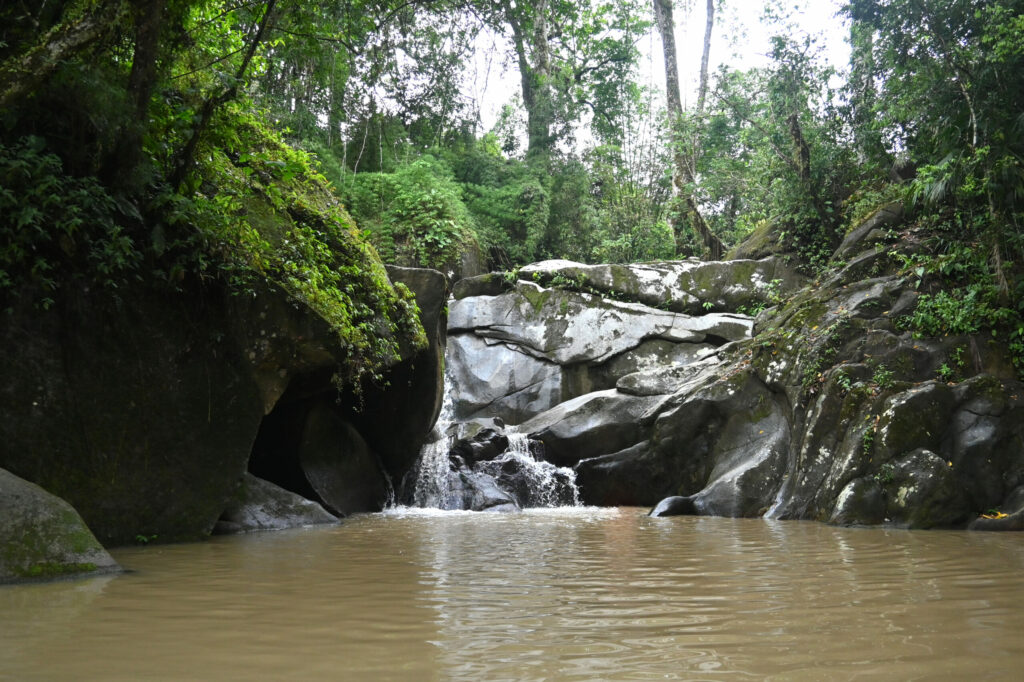 A pool with a stream and green nature around